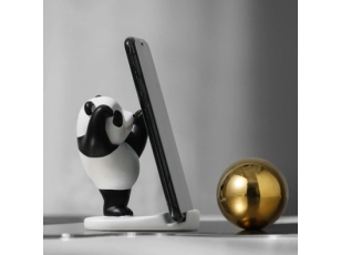 Electronic accessories